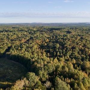Photo #4 of Off Wilkinsville Hwy (Hwy 105), Gaffney, SC 579.6 acres