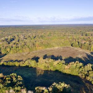 Photo #5 of Off Wilkinsville Hwy (Hwy 105), Gaffney, SC 579.6 acres