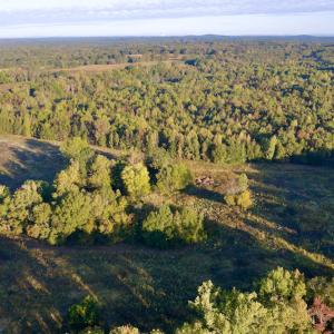 Photo #6 of Off Wilkinsville Hwy (Hwy 105), Gaffney, SC 579.6 acres