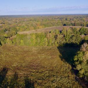 Photo #8 of Off Wilkinsville Hwy (Hwy 105), Gaffney, SC 579.6 acres