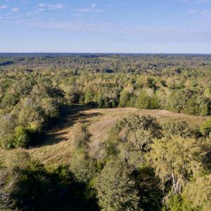 Photo #10 of Off Wilkinsville Hwy (Hwy 105), Gaffney, SC 579.6 acres
