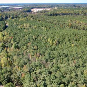 Photo #10 of Off Dry Bridge Road, Ruther Glen , VA 27.8 acres
