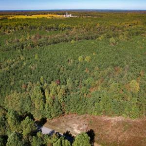 Photo #11 of Off Dry Bridge Road, Ruther Glen , VA 27.8 acres