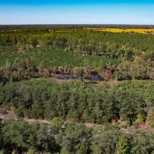 Photo #13 of Off Dry Bridge Road, Ruther Glen , VA 27.8 acres
