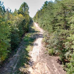 Photo #16 of Off Dry Bridge Road, Ruther Glen , VA 27.8 acres