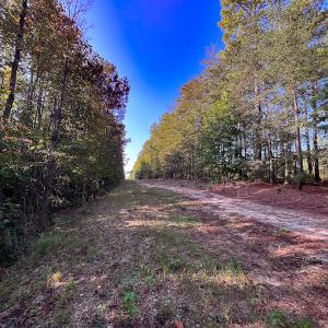 Photo #17 of Off Dry Bridge Road, Ruther Glen , VA 27.8 acres