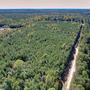 Photo #18 of Off Dry Bridge Road, Ruther Glen , VA 27.8 acres