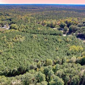 Photo #19 of Off Dry Bridge Road, Ruther Glen , VA 27.8 acres