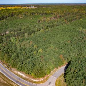 Photo #2 of Off Dry Bridge Road, Ruther Glen , VA 27.8 acres