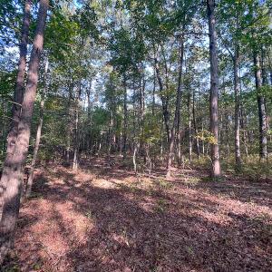 Photo #23 of Off Dry Bridge Road, Ruther Glen , VA 27.8 acres