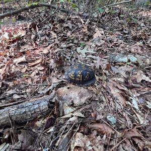 Photo #24 of Off Dry Bridge Road, Ruther Glen , VA 27.8 acres