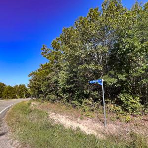 Photo #3 of Off Dry Bridge Road, Ruther Glen , VA 27.8 acres