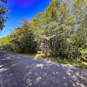 Photo #4 of Off Dry Bridge Road, Ruther Glen , VA 27.8 acres