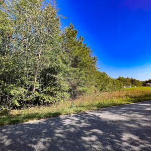 Photo #7 of Off Dry Bridge Road, Ruther Glen , VA 27.8 acres