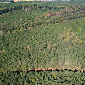 Photo #8 of Off Dry Bridge Road, Ruther Glen , VA 27.8 acres