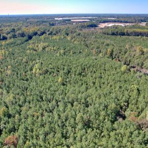 Photo #9 of Off Dry Bridge Road, Ruther Glen , VA 27.8 acres