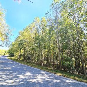 Photo #11 of Off Dry Bridge Road, Ruther Glen, VA 3.0 acres