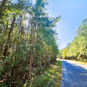 Photo #12 of Off Dry Bridge Road, Ruther Glen, VA 3.0 acres