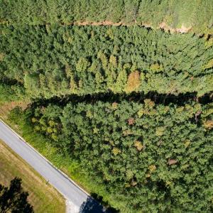 Photo #3 of Off Dry Bridge Road, Ruther Glen, VA 3.0 acres