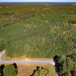 Photo #4 of Off Dry Bridge Road, Ruther Glen, VA 3.0 acres