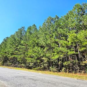 Photo #5 of Off Dry Bridge Road, Ruther Glen, VA 3.0 acres