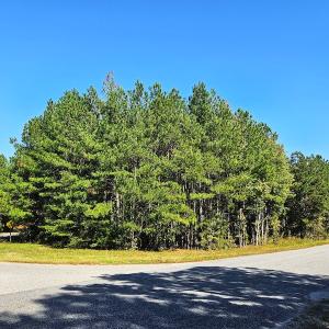 Photo #6 of Off Dry Bridge Road, Ruther Glen, VA 3.0 acres