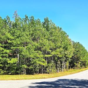 Photo #7 of Off Dry Bridge Road, Ruther Glen, VA 3.0 acres
