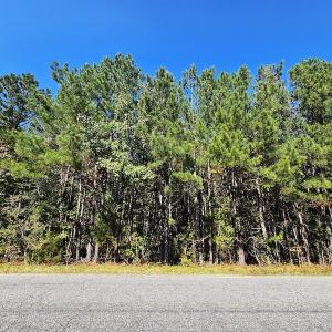 Photo #8 of Off Dry Bridge Road, Ruther Glen, VA 3.0 acres