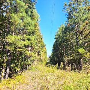 Photo #9 of Off Dry Bridge Road, Ruther Glen, VA 3.0 acres