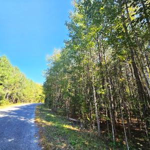 Photo #10 of Off Dry Bridge Road, Ruther Glen, VA 3.0 acres