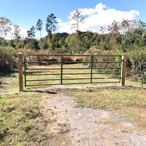 Photo #6 of Off Dickens Lane, Capron, VA 20.5 acres