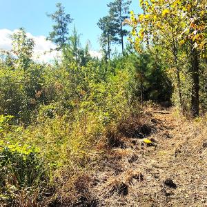 Photo #8 of Off Dickens Lane, Capron, VA 20.5 acres