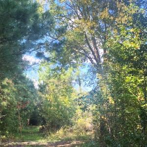 Photo #27 of Off Dickens Lane, Capron, VA 20.5 acres