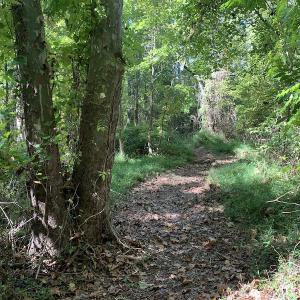 Photo #34 of Off Dickens Lane, Capron, VA 20.5 acres