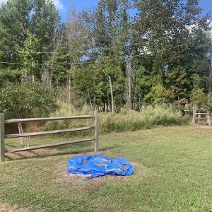 Photo #39 of Off Dickens Lane, Capron, VA 20.5 acres