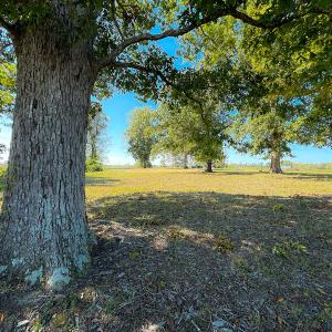 Photo #16 of SOLD property in Off Hughes Mill Road, Burlington, NC 2.5 acres