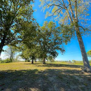 Photo #27 of SOLD property in Off Hughes Mill Road, Burlington, NC 2.5 acres