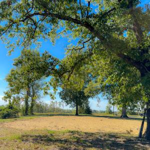 Photo #30 of SOLD property in Off Hughes Mill Road, Burlington, NC 2.5 acres