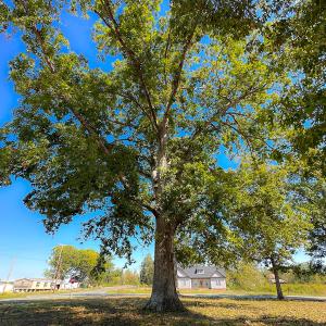 Photo #45 of SOLD property in Off Hughes Mill Road, Burlington, NC 2.5 acres