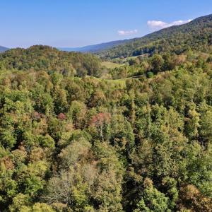 Photo #13 of 414 Niday Dr , Narrows, VA 590.2 acres
