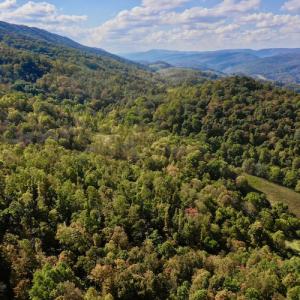 Photo #17 of 414 Niday Dr , Narrows, VA 590.2 acres