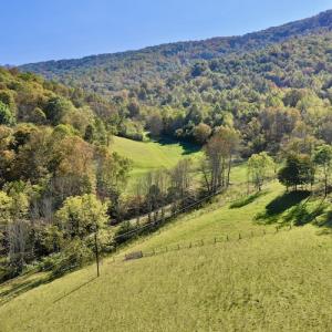 Photo #4 of 414 Niday Dr , Narrows, VA 590.2 acres