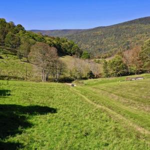 Photo #9 of 414 Niday Dr , Narrows, VA 590.2 acres