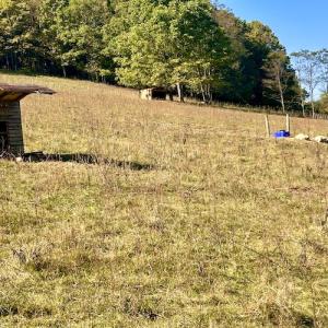 Photo #46 of 414 Niday Dr , Narrows, VA 590.2 acres