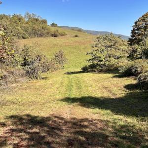 Photo #51 of 414 Niday Dr , Narrows, VA 590.2 acres