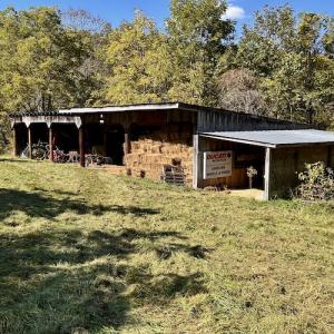 Photo #55 of 414 Niday Dr , Narrows, VA 590.2 acres