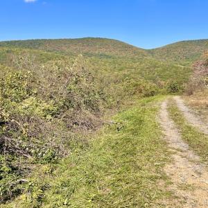 Photo #57 of 414 Niday Dr , Narrows, VA 590.2 acres