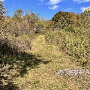 Photo #60 of 414 Niday Dr , Narrows, VA 590.2 acres