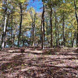 Photo #61 of 414 Niday Dr , Narrows, VA 590.2 acres