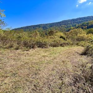 Photo #62 of 414 Niday Dr , Narrows, VA 590.2 acres